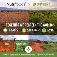 Nutrifoodz® Lever Support