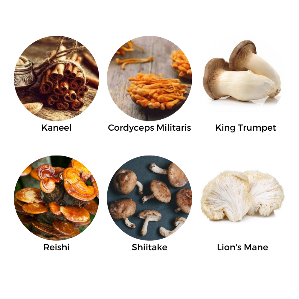 Nutrifoodz® Gold | REWARD